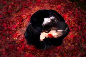 A7R4で撮影する紅葉撮影～角川武蔵野ミュージアム