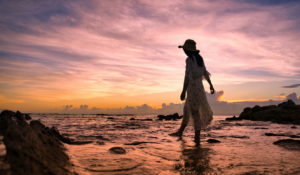 手放せない sigma 24-70mm F2.8 DG vol.1