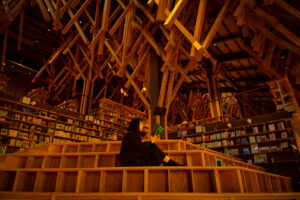 写真が上手くなりたい人必見|上達のコツは写真を〇〇もらうだった!